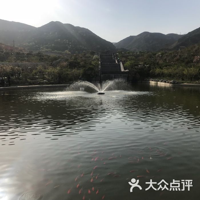 玉泉山城郊森林公园图片-北京公园-大众点评网