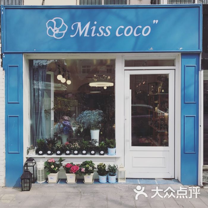 misscoco花店图片 - 第3张