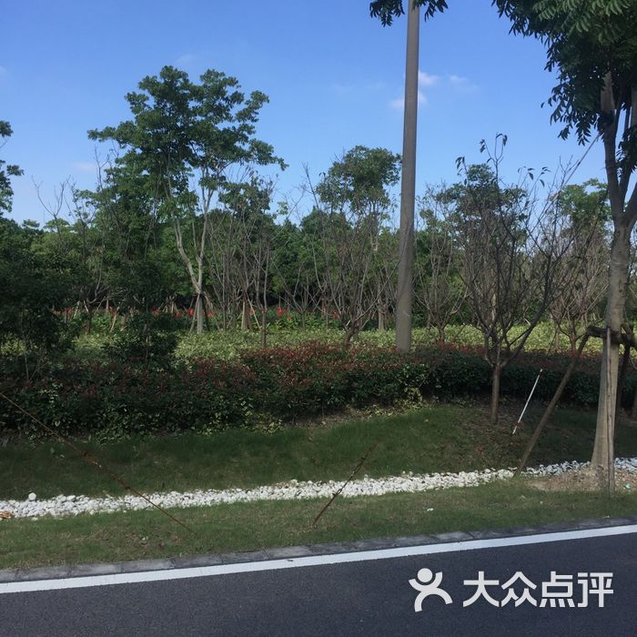 康桥生态园沔青绿地