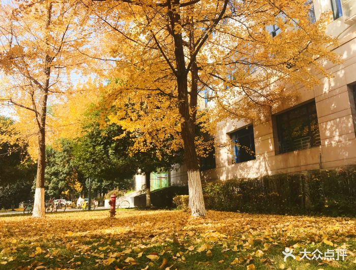 西南财经大学(光华校区)图片