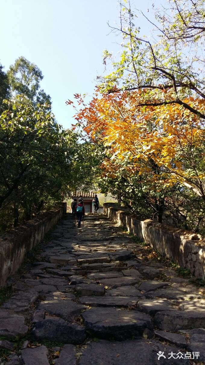 阳台山自然风景区图片