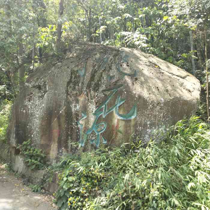 永川桃花源-"永川桃花源景区位于黄瓜山白岩槽卫星湖.