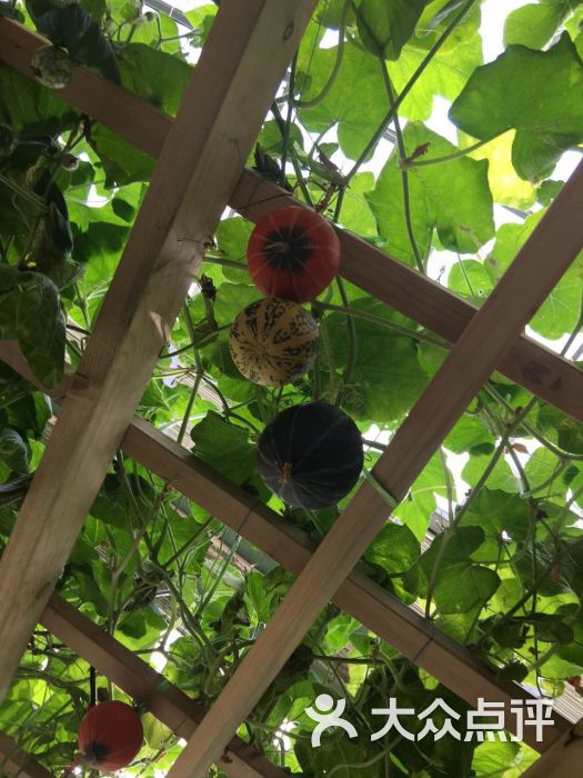 第四届北京农业嘉年华(北京昌平草莓博览园)-图