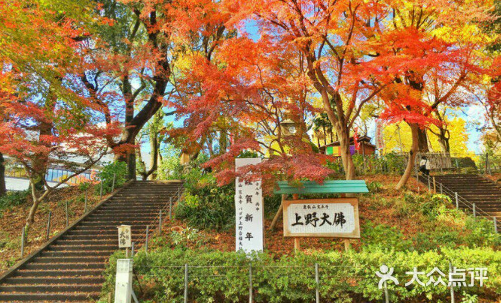 上野公园图片 - 第5张