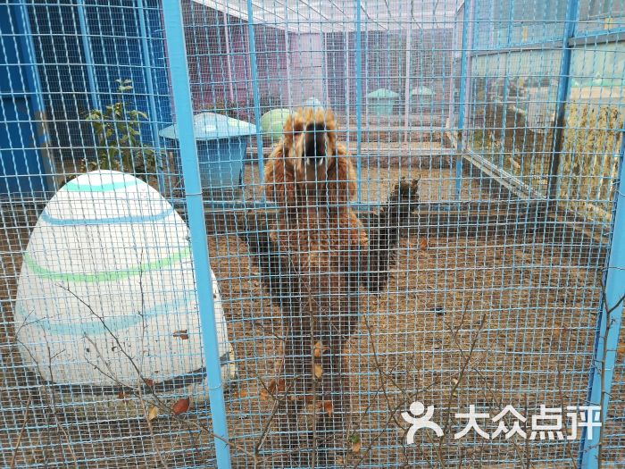 无锡动物园·太湖欢乐园图片 - 第8张