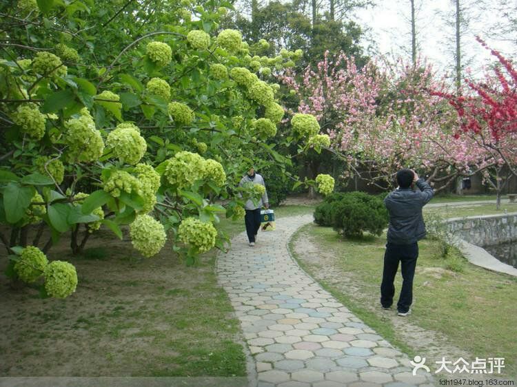 绣球公园-图片-南京周边游-大众点评网