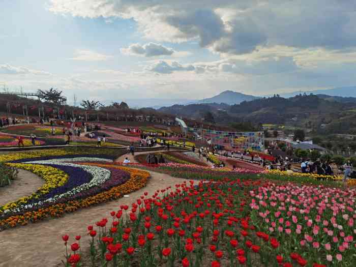 彩山四季花海景区-"[圆图钉]地理位置:宜宾 [强]特色.