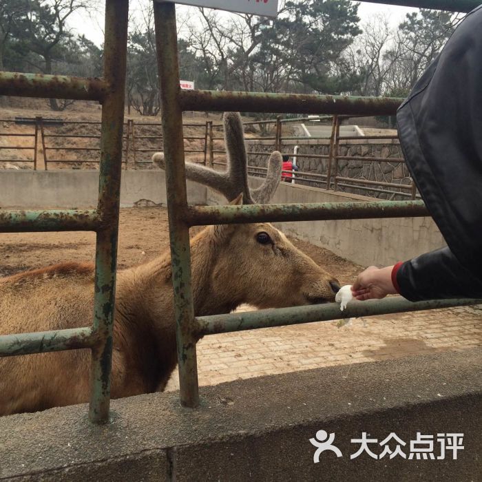 青岛动物园图片 - 第2张