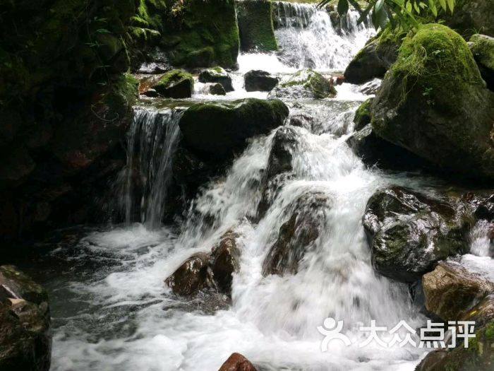 西岭雪山大飞水景区图片 - 第84张