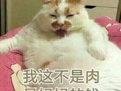 表情包-胖哥俩肉蟹煲(益东店)
