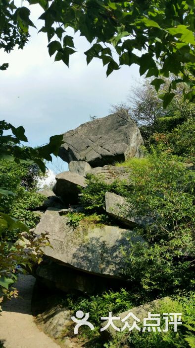 莫干山大坑景区图片 - 第135张