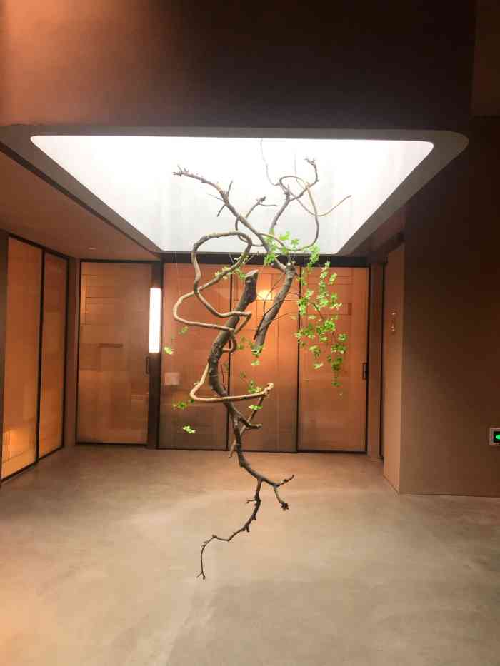 隐溪茶馆(环贸店)-"又来睡下午觉了(并没有但眼睛一闭