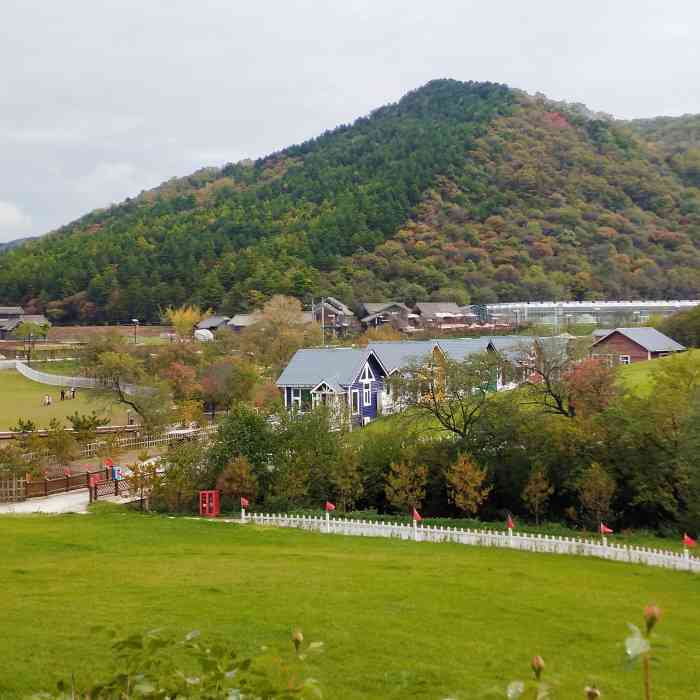 旬邑鹿野苑停车区-"五一假期出游95从西安开车四个小时过去.