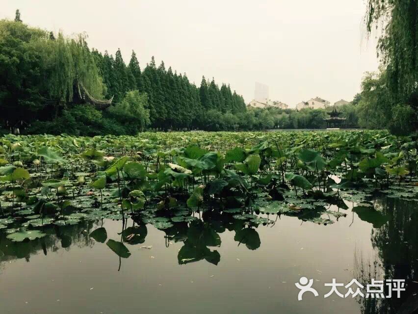 白鱼潭公园
