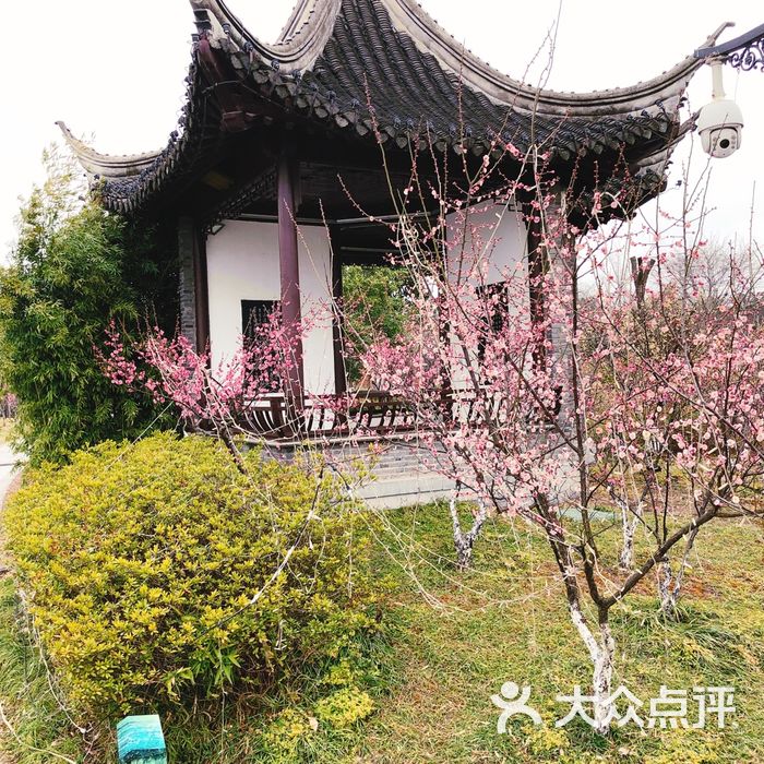 泰州桃园