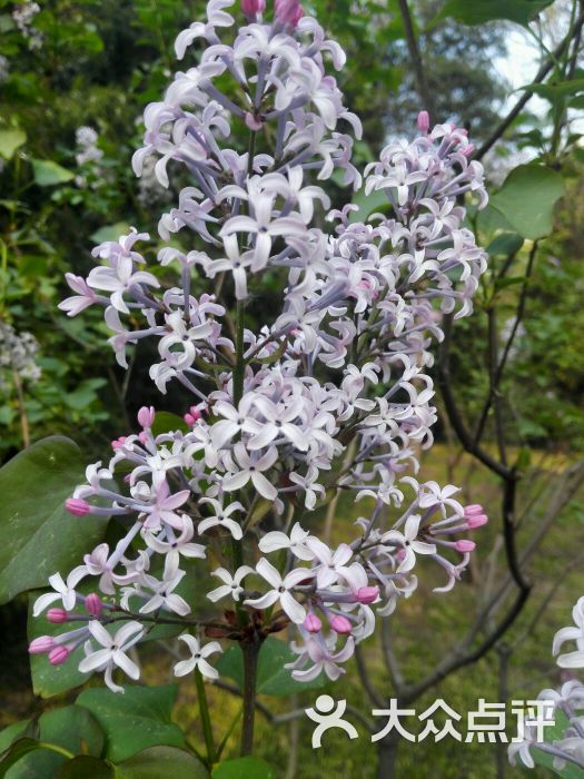 月坛公园-图片-北京周边游-大众点评网