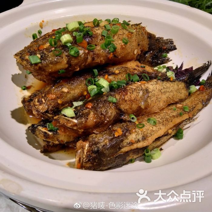 渔痴鱼醉洞庭湖野生鱼