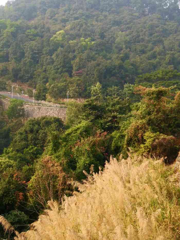 火炉山森林公园"就系广州市郊,岑村教练场附近.这里有个.