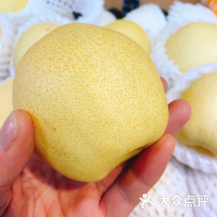 正宗新疆贡梨