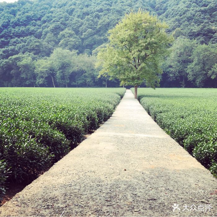 网上看评价不错,而且又可以到其他景区,就.-云