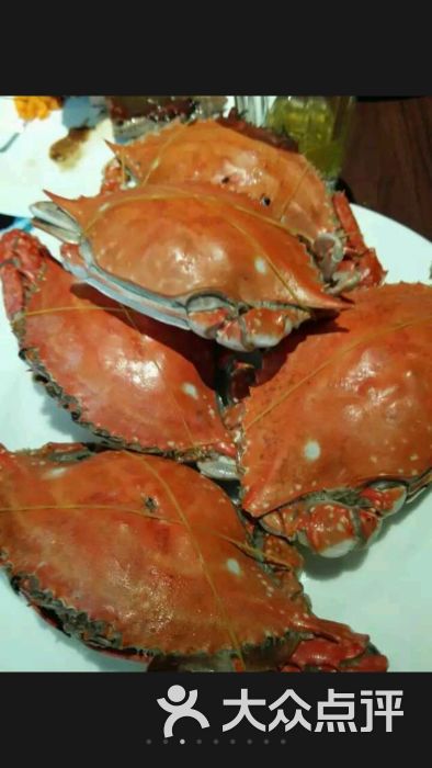 金鲨海鲜自助餐厅_金鲨银鲨2_金鲨国际海鲜