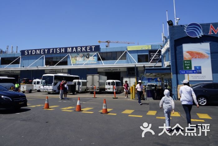 sydney fish market图片 - 第2张