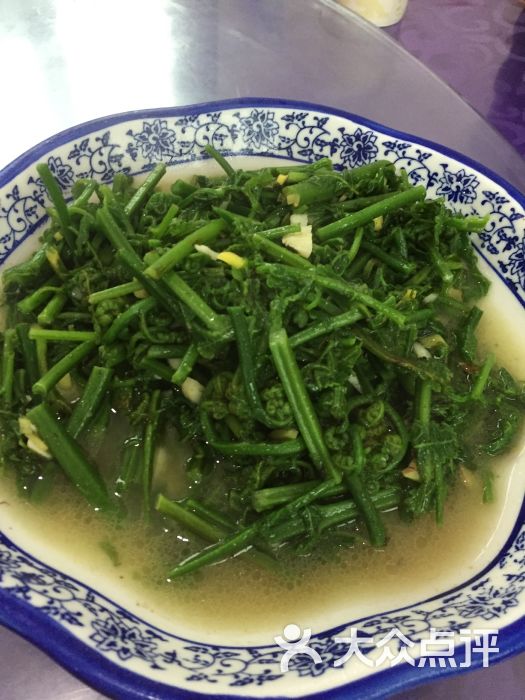 瑶河山里菜水蕨菜图片 - 第2张