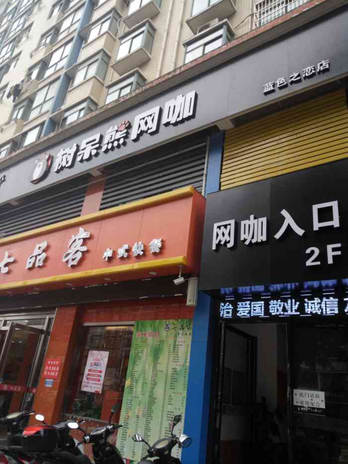 树呆熊网咖(临泉路店)