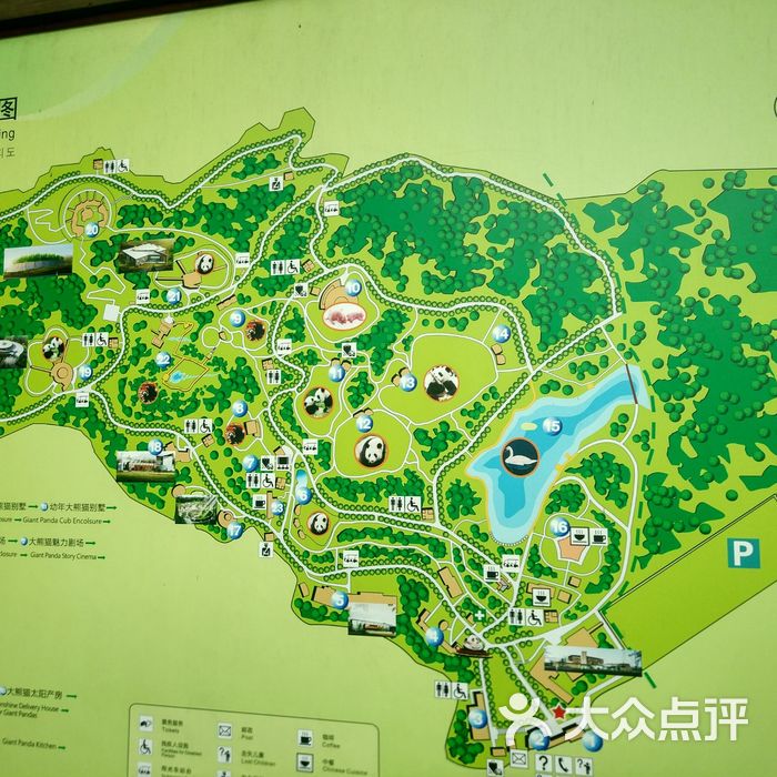 大熊猫繁育研究基地