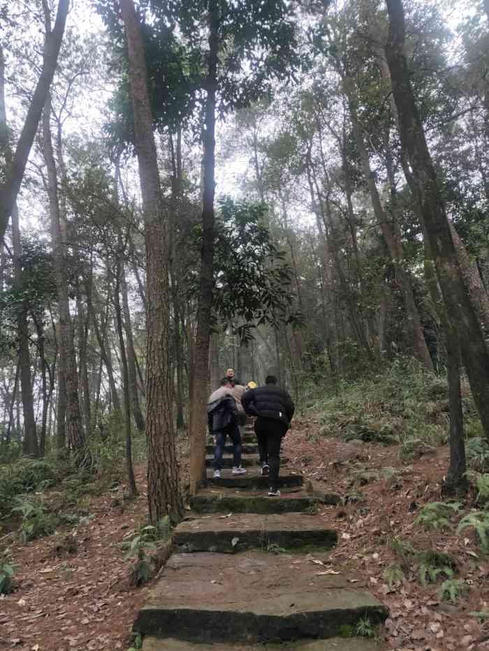 临峰山郊野公园"来江津学习,德感工业园搜索附近游玩搜索的.