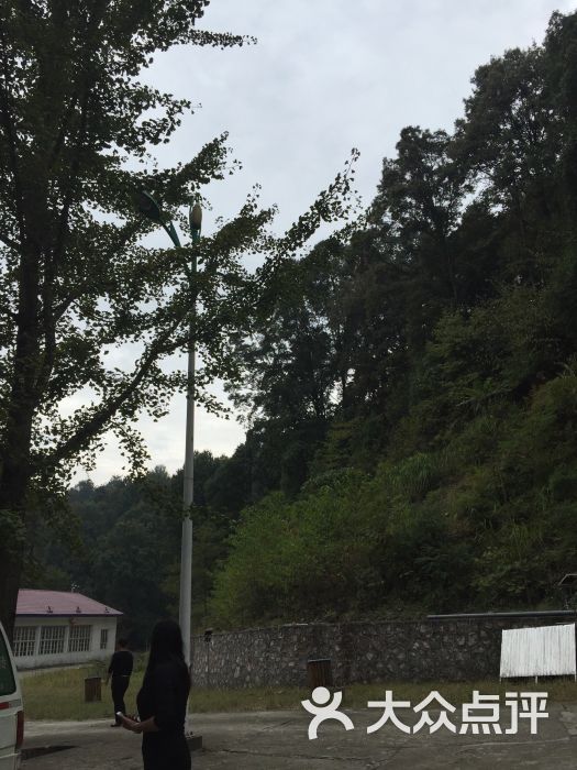 桂花森林公园--其他图片-崇阳县周边游-大众点评网