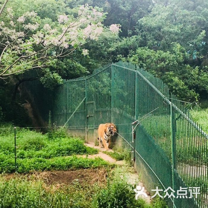 珍珠泉野生动物生态园