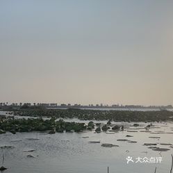 鹤龙湖农庄