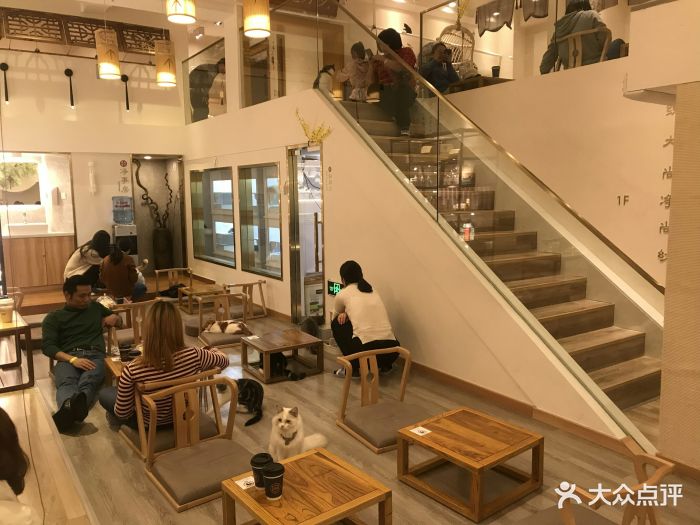 淘喵喵·猫咖啡馆猫咖猫舍(徐汇店)图片
