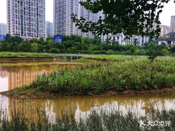 沐仙湖湿地公园图片 - 第14张