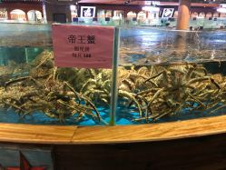 新华都海物会人均