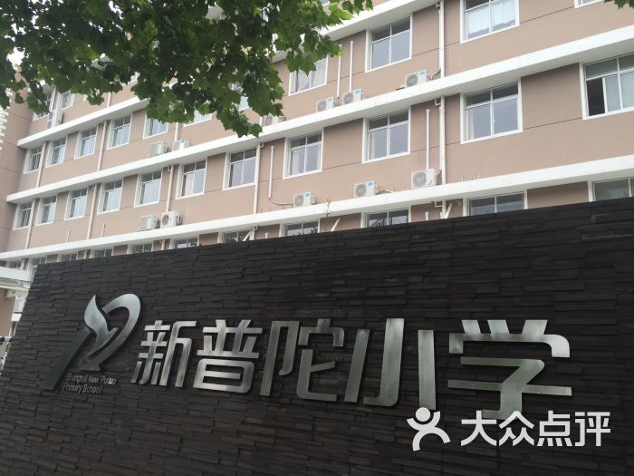 新普陀小学图片 第5张