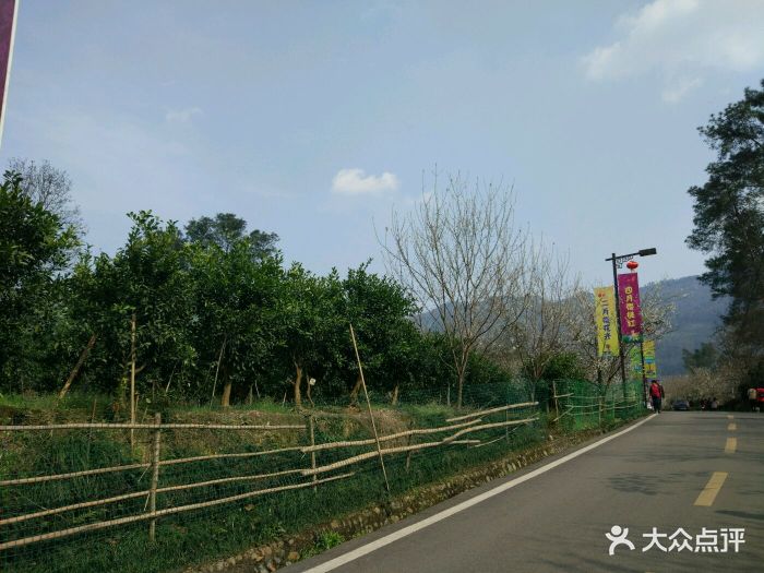 樱桃山旅游景区-图片-蒲江县周边游-大众点评网