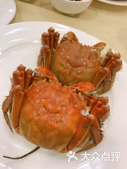王宝和酒家-清蒸大闸蟹图片-上海美食-大众点评网