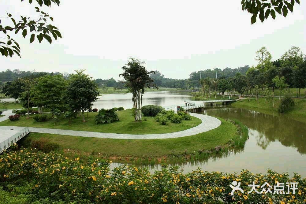 东莞市植物园图片 - 第30张