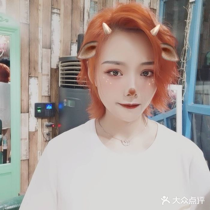 西卡诺卡图片