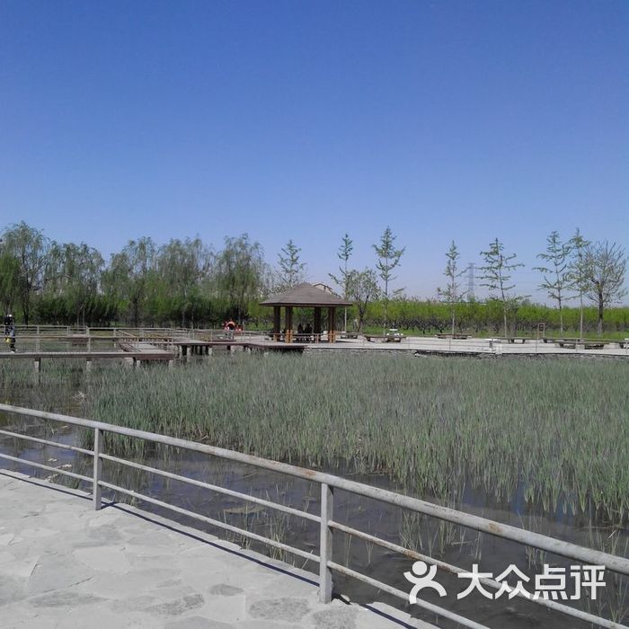 旺兴湖郊野公园