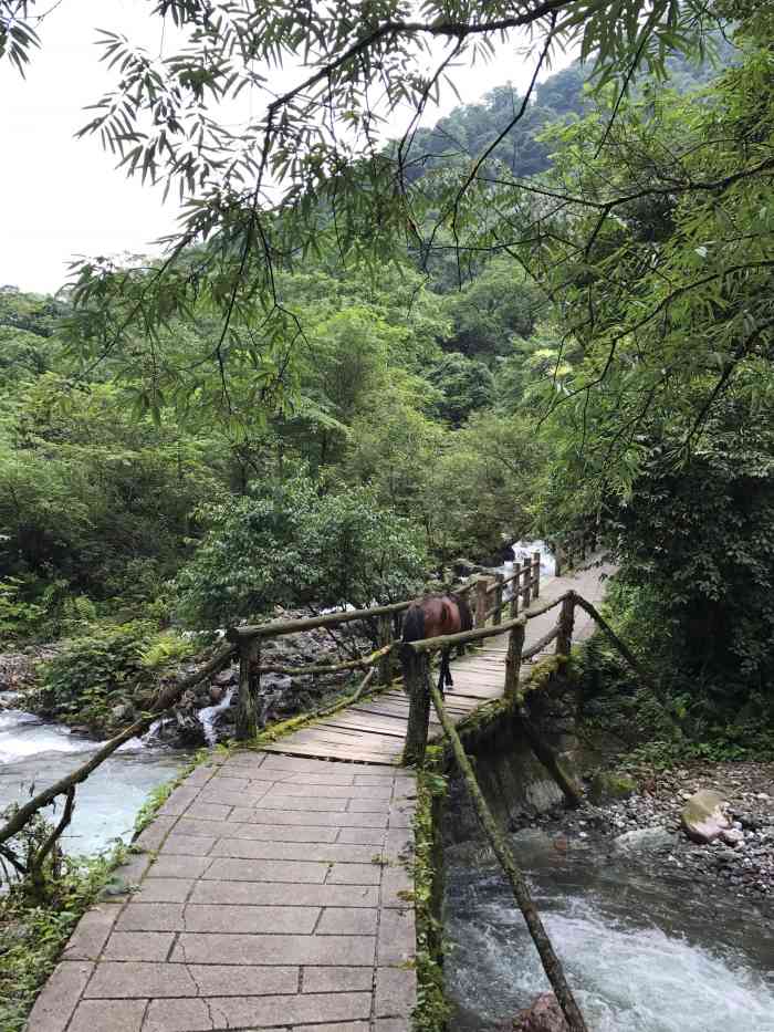 西岭雪山大飞水景区