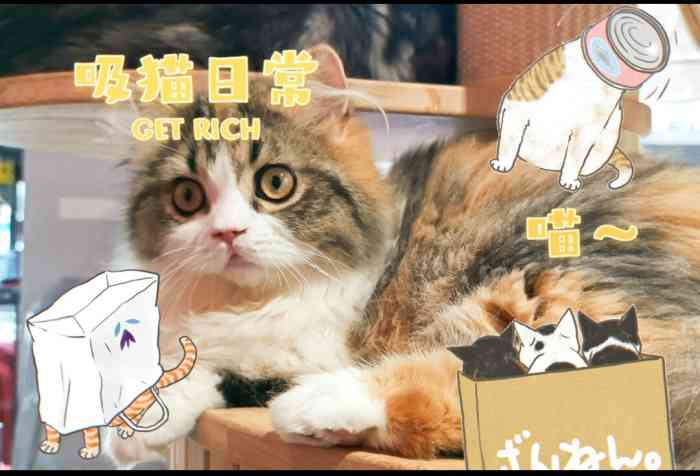 猫主题·就是这样的喵(海珠旗舰店)