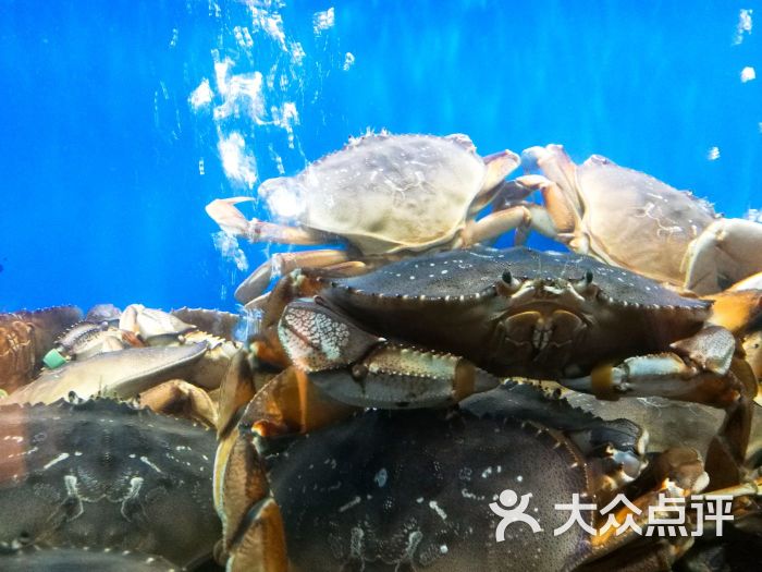 珍宝海鲜jumbo seafood(北京skp店)图片 - 第2813张