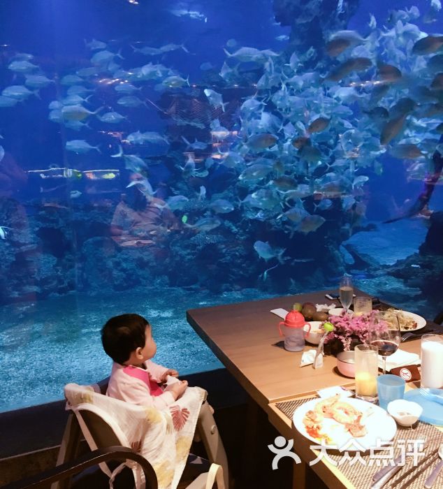 天房洲际度假酒店-海底餐厅 涛餐厅图片 - 第4张