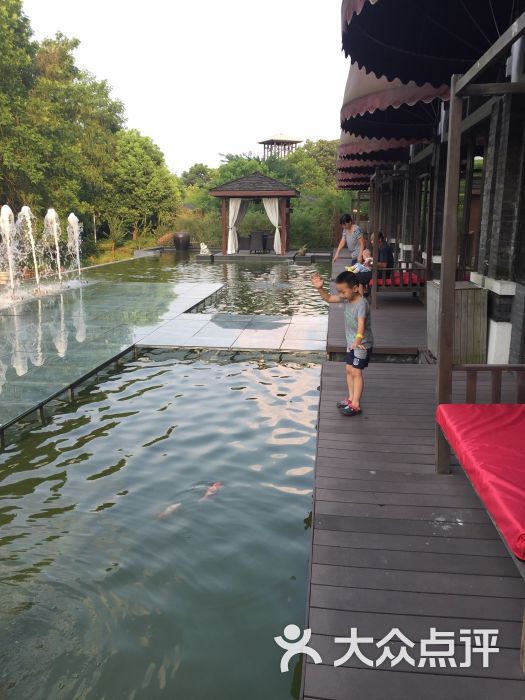 1865喜宴主题花园酒店-图片-南京