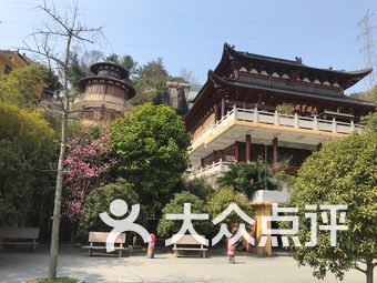 9 美食达人niu:温州市平阳县鳌江镇青山寺拜佛,过年没有去拜大佛,今天