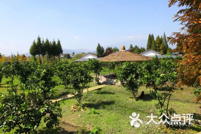 祥侬生态基地-柚子林图片-都江堰市休闲娱乐-大众点评网