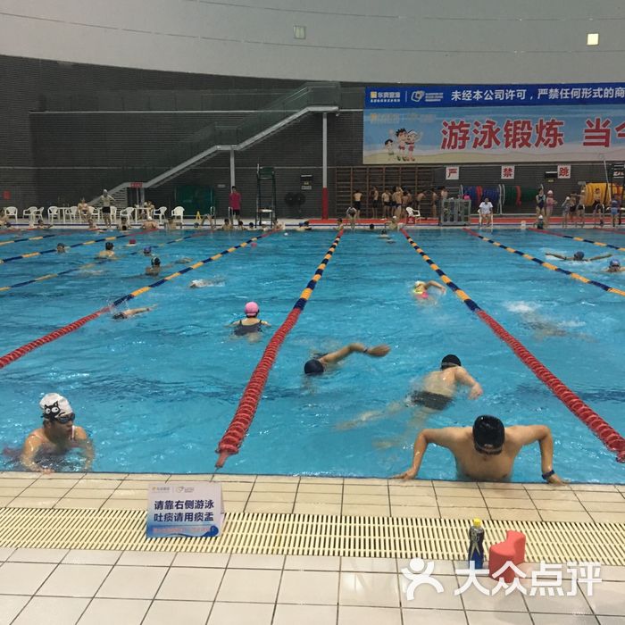 深圳湾体育中心游泳馆图片-北京游泳馆-大众点评网